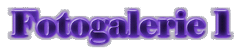 Fotogalerie 1