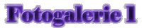 Fotogalerie 1