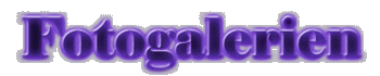 Fotogalerien